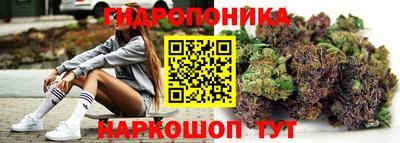 a pvp Гусев