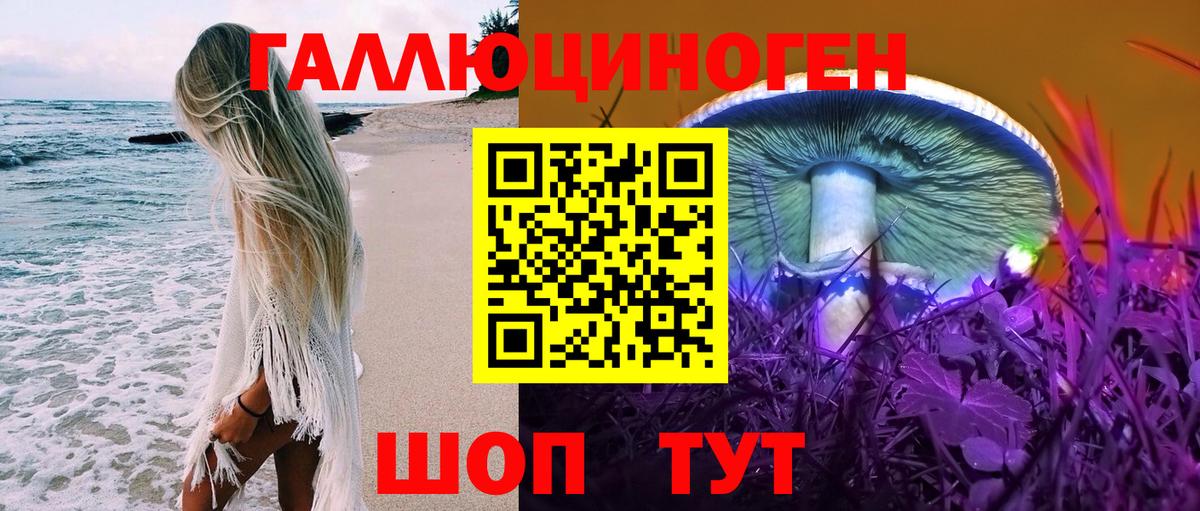 Галлюциногенные грибы мицелий Биробиджан