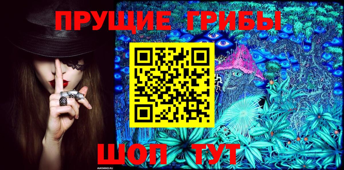 Биробиджан  Псилоцибиновые грибы прущие грибы  Вход с VPN 
